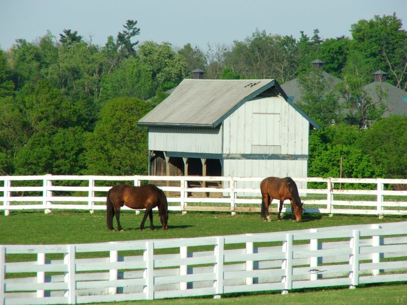 Farm Fencing Installation