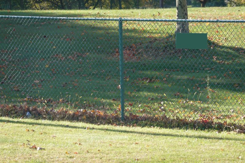 Late Summer Maintenance